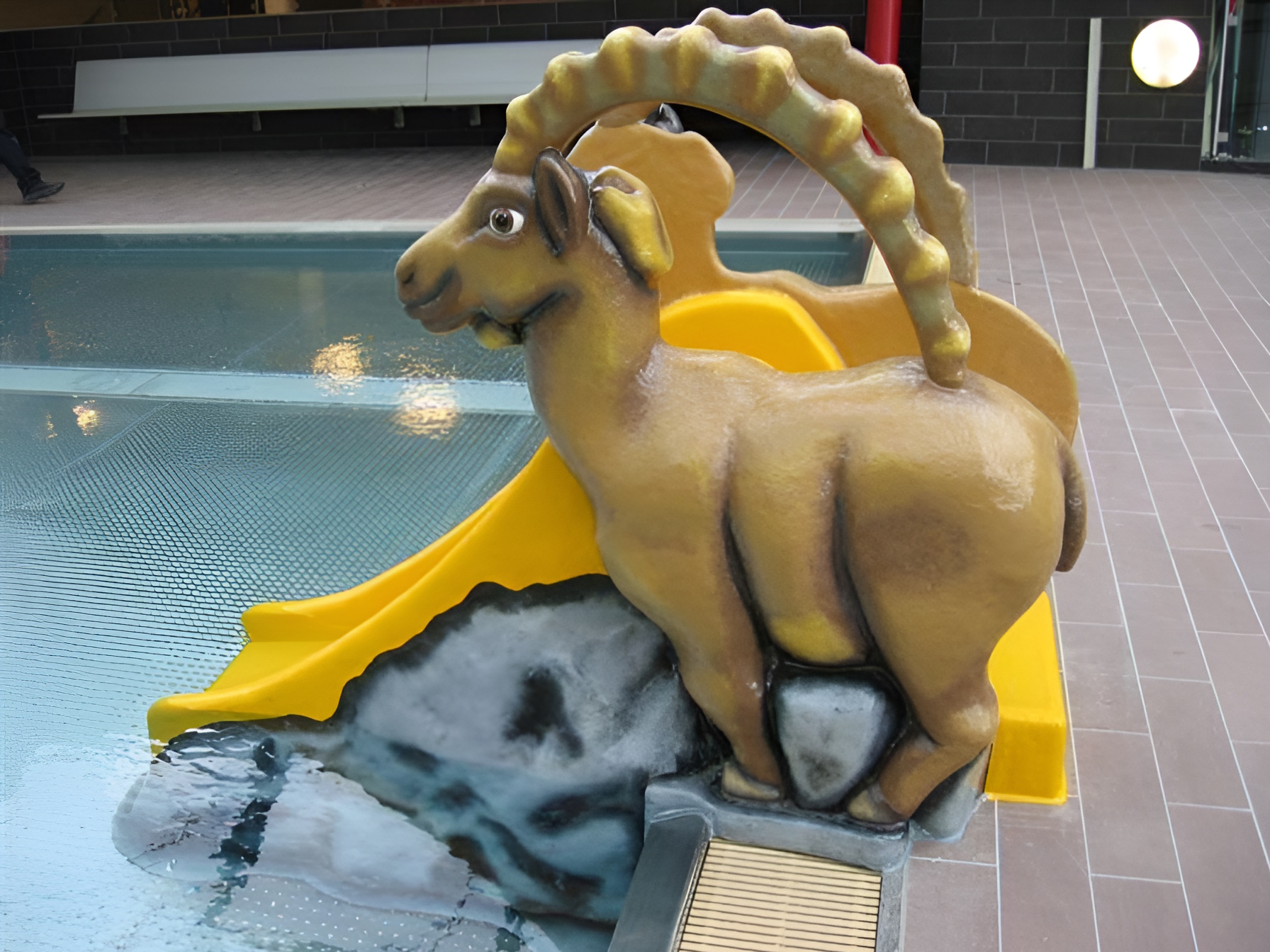 Gallary Image1