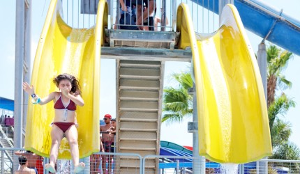 Special Themed Attractions