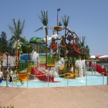 Gallary Image