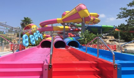 Special Themed Attractions
